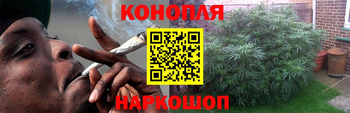 Конопля OG Kush Усинск